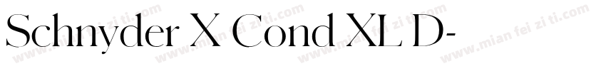 Schnyder X Cond XL D字体转换